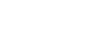 logo_fliegenlos_weiß_transparent